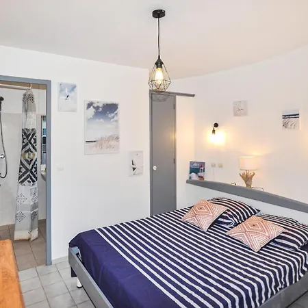 Pet Friendly In